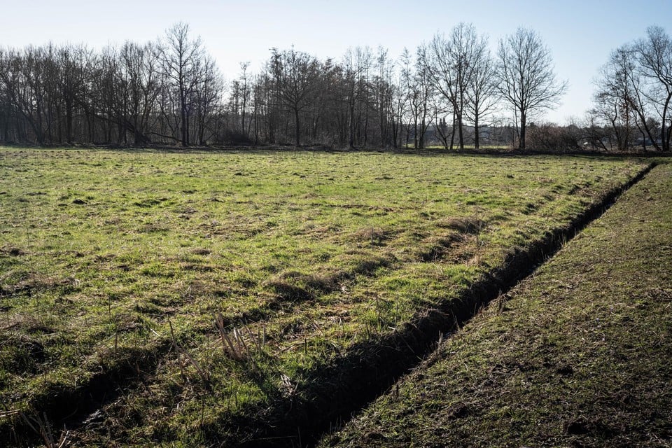 De vloeiweiden in Noord-Limburg zijn uniek. Ze zijn het gevolg van de eeuwenoude techniek van het bevloeien van de graslanden. 