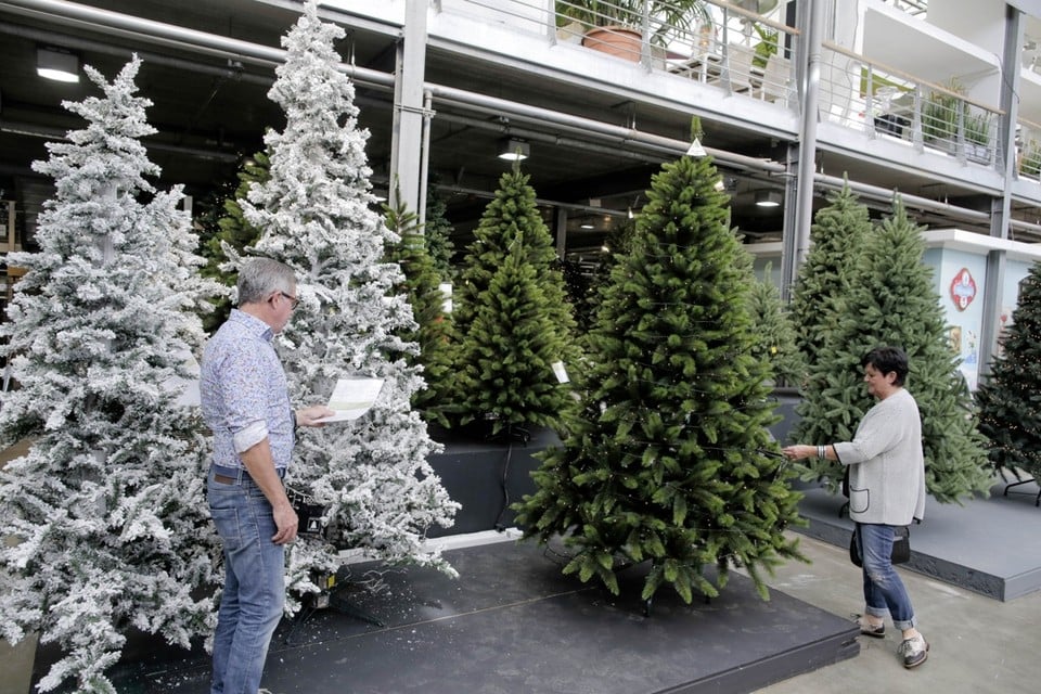 grijs fout zelf Kerstboom dit jaar opnieuw 10 procent duurder (Hasselt) | Het Belang van  Limburg Mobile