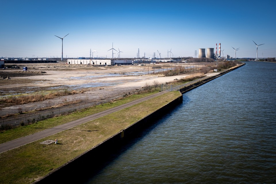 De Ford-terreinen zijn waterziek omdat ze lager dan het Albertkanaal liggen. De Vlaamse Waterweg wil draineren richting Kaatsbeek, maar moet eerst de milieueffecten onderzoeken. 