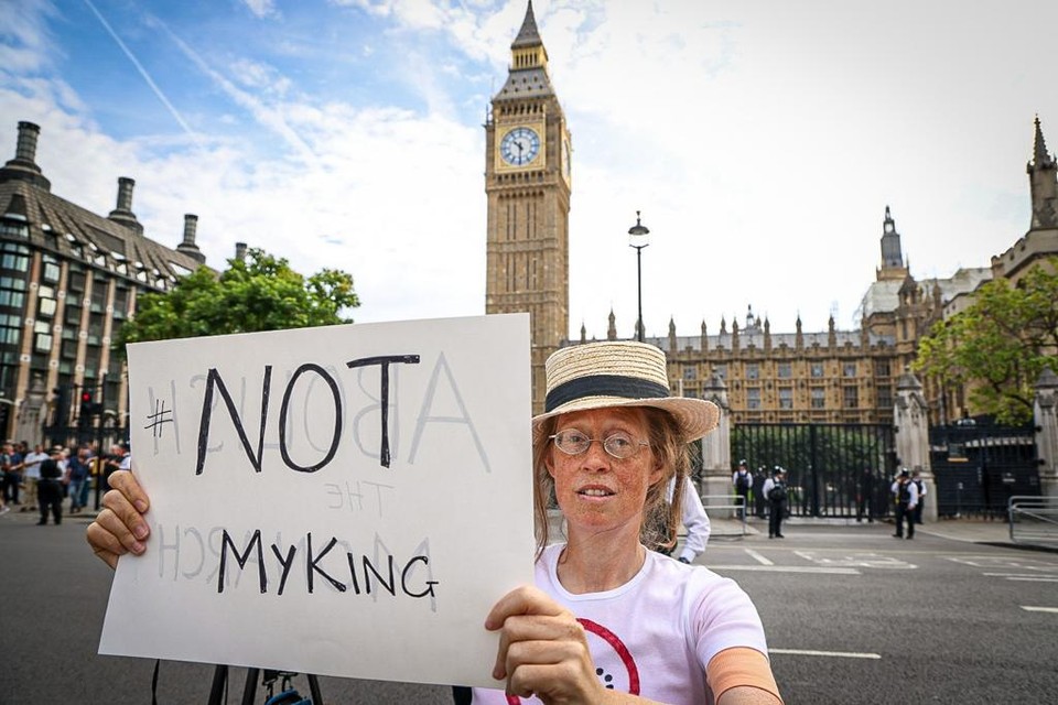 Ook één proteststem tussen alle fans aan het Britse parlement. 