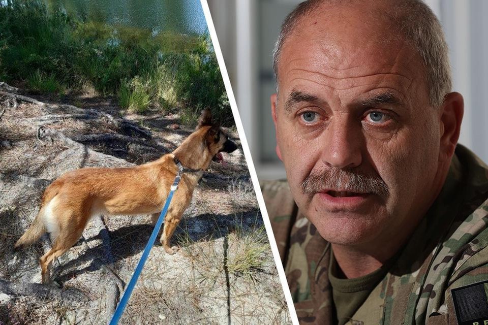 Legerhond Nala overleden tijdens missie in Frankrijk.