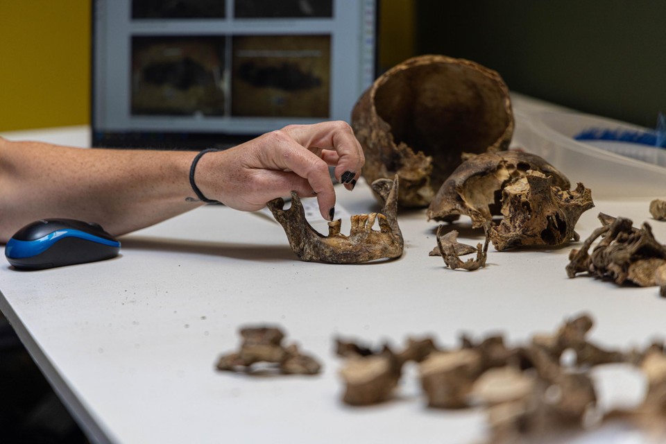 Fysisch antropologe April Pijpelink kan belangrijke informatie ontfutselen uit oude skeletten. 
