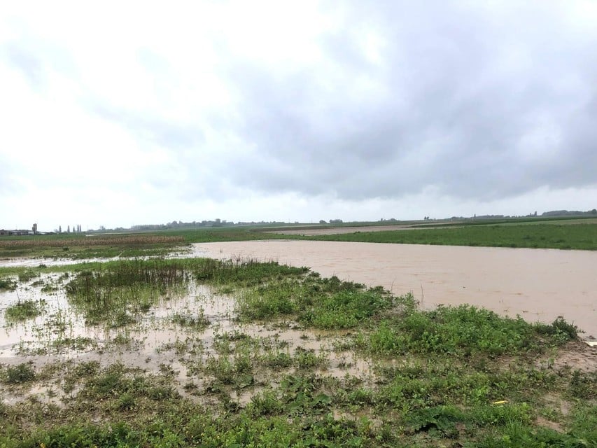 De wadi aan het einde van de Rosmeerweg in Veldwezelt staat vol. “Ze heeft haar nut bewezen en een ware ramp vermeden”, zegt Keulen.