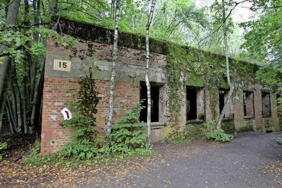Een van de verwoeste gebouwen in de voormalige Wolfsschanze. Volgens kenners zou dit het huis van Göring zijn. © ROEL DIJKSTRA-VLAARDINGEN