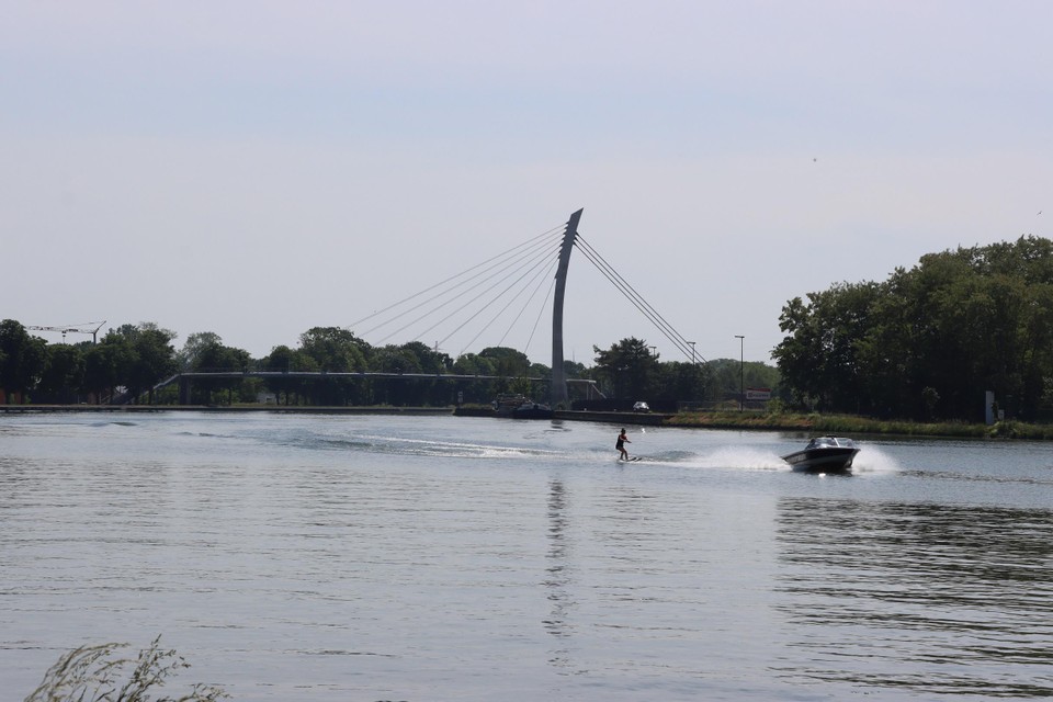 Waterskiën op de Zuid-Willemsvaart in Dilsen-Stokkem en Maaseik mag, door de aanwezigheid van blauwalgenbloei, niet meer tot en met 26 augustus. 