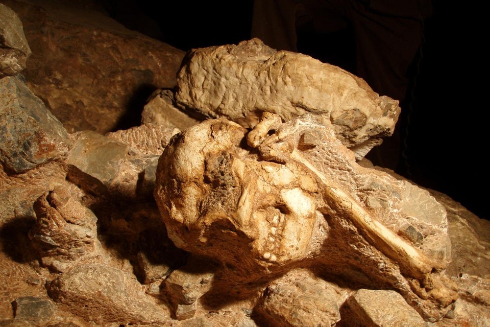 De vindplaats van ‘Little Foot’, de australopitheek waarvan in de jaren negentig het nagenoeg volledige skelet werd ontdekt in Sterkfontein. 
