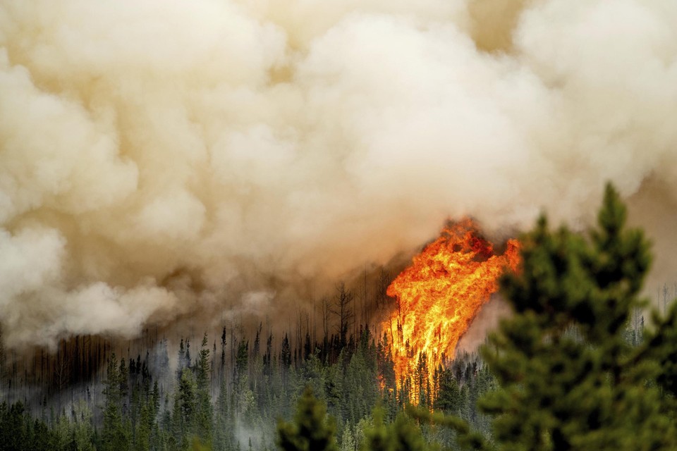 Canada heeft zwaar te lijden onder bosbranden.