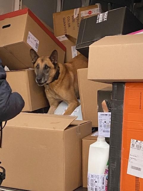 Een drugshond doorzocht de pakjes om te kijken of er drugs bij zaten. 