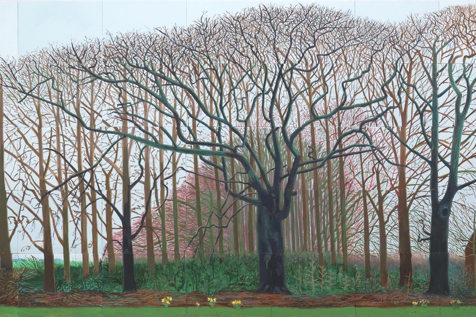 ‘Bigger trees near Warter’ meet 12 meter bij 4. Het werk bestaat uit vijftig deelschilderijen die samengepuzzeld werden. 