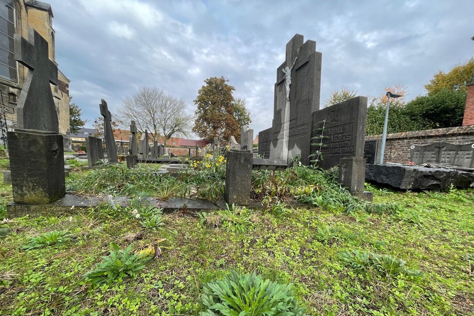 Onder meer het kerkhof van Beek streeft men naar ecologisch groenbeheer. 
