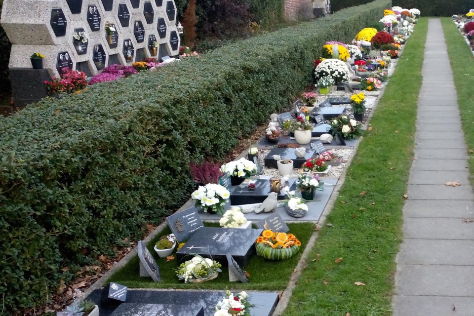 Een urnenveld op de begraafplaats van Vlamertinge 