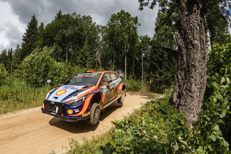Thierry Neuville  