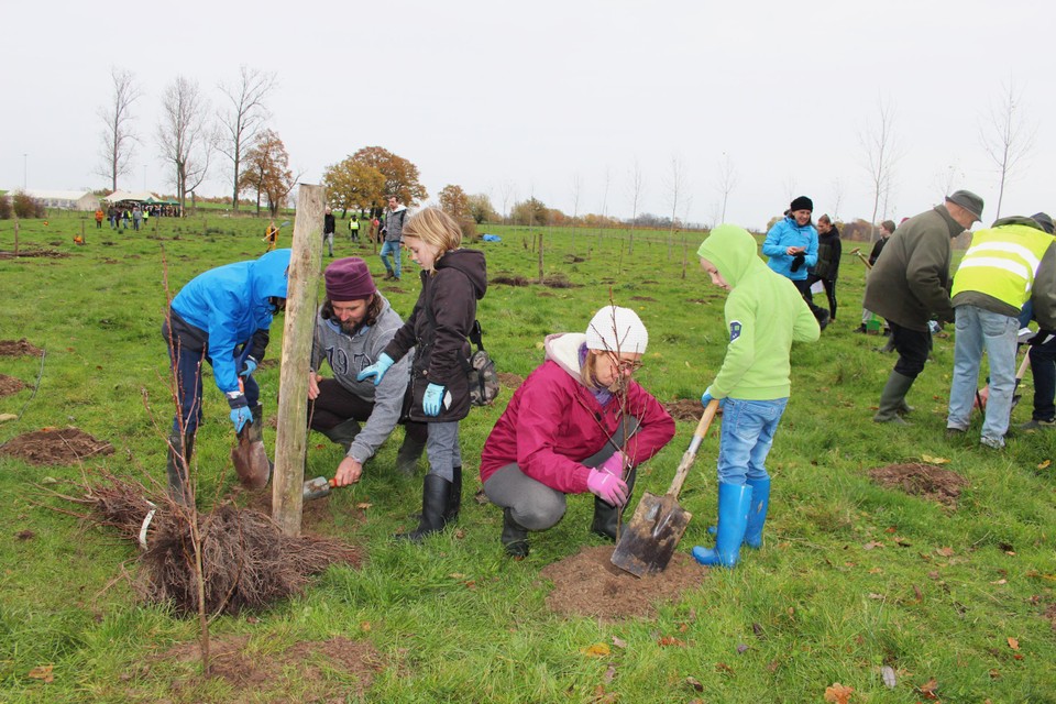 Al zeker 170 vrijwilligers zullen zaterdag opdagen om zoals vorig jaar bomen en struiken te helpen planten.
