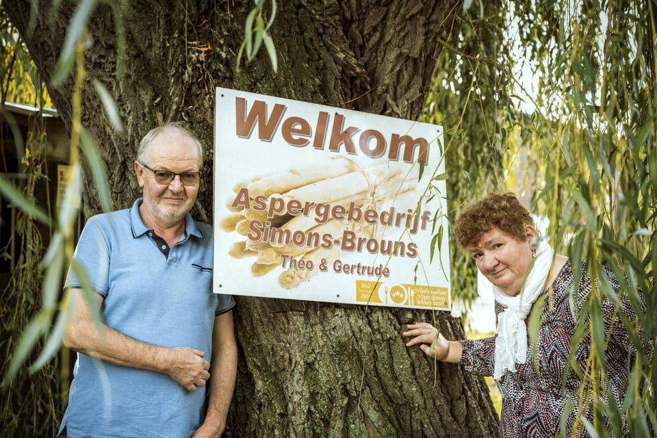 Theo Simons en Gertrude Brouns stoppen na bijna 40 jaar met asperges. 