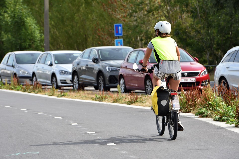 Limburgers nemen steeds meer de fiets om op het werk te geraken. 