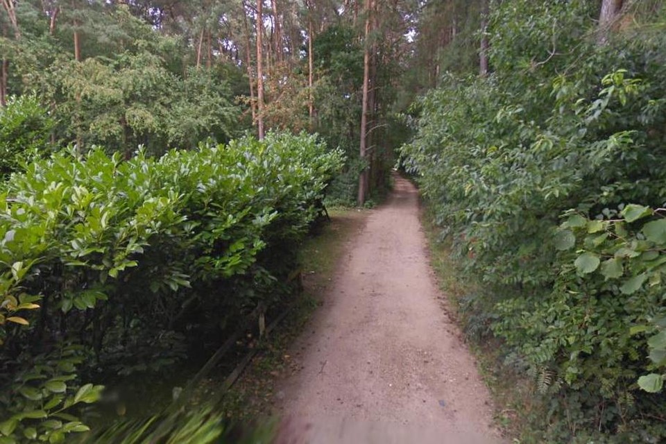 De Spitsmuisstraat in Scherpenheuvel-Zichem is een smalle straat, die eindigt op een afgelegen zandbaan doorheen de bossen.