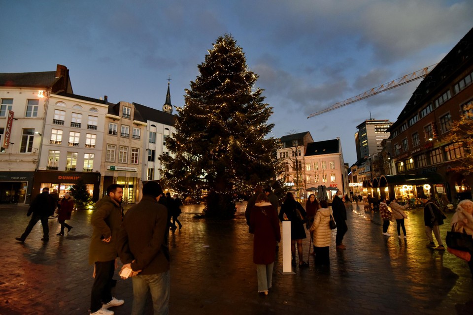 De kerstboom op de Grote Markt staat er sinds donderdag. 
