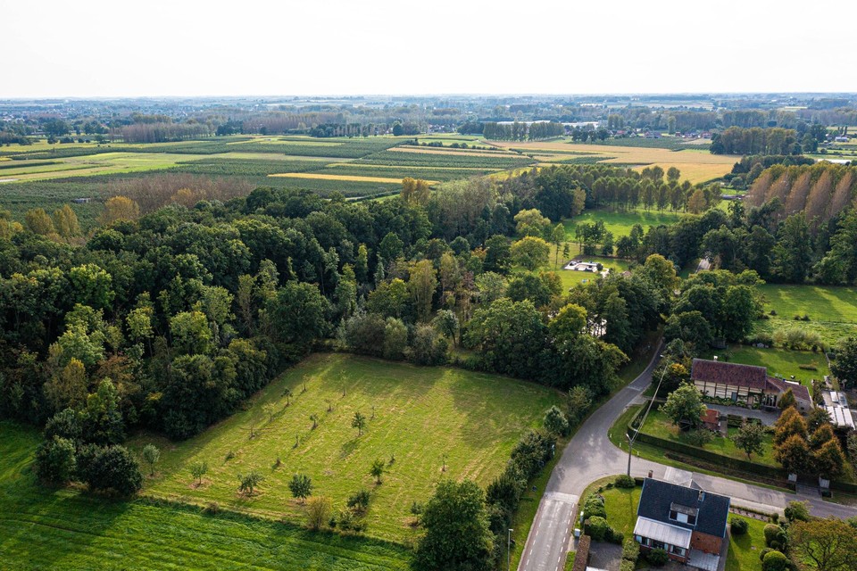 Het stukje Wellen waarop de burgemeester van Alken aast om aan Kortessem te kunnen grenzen. Het zijn vooral velden en bossen maar ook enkele boerderijen. 