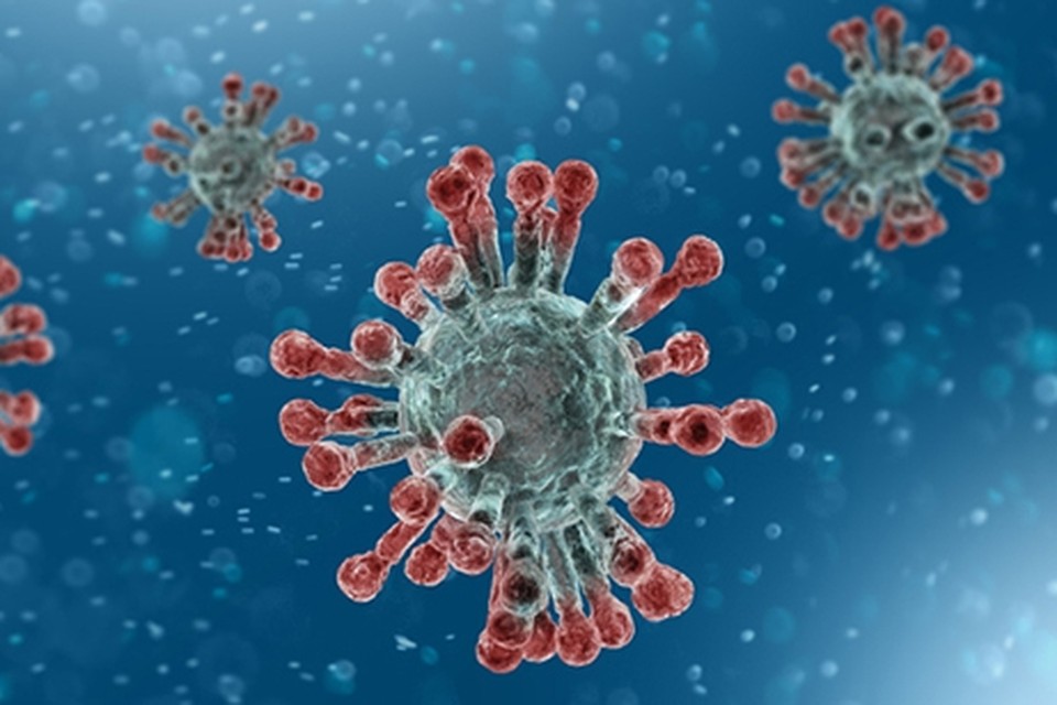 Microscopisch zicht op het coronavirus SARS-CoV-2. Een nieuwe, gemuteerde versie is nog besmettelijker dan de vorige. 
