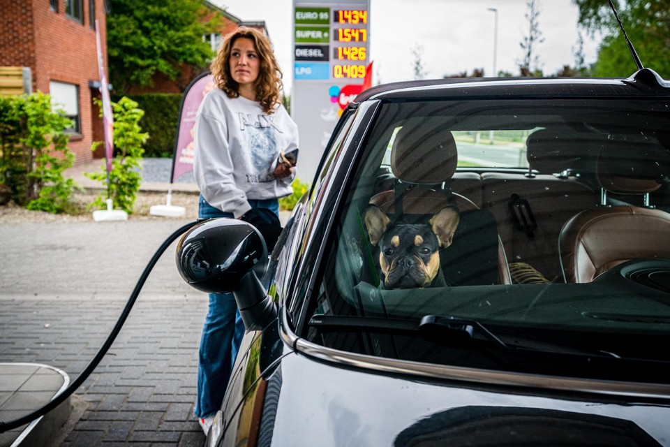 Nautisch Bedachtzaam Pool Ruwe olie is veel goedkoper geworden, maar benzineprijs breekt records: hoe  komt dat? | Het Belang van Limburg Mobile