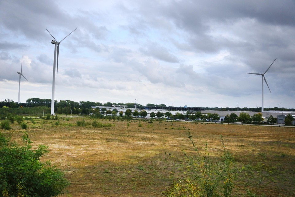 De locatie in Rotem waar Dils-Energie een gasgestookte centrale wil bouwen. 