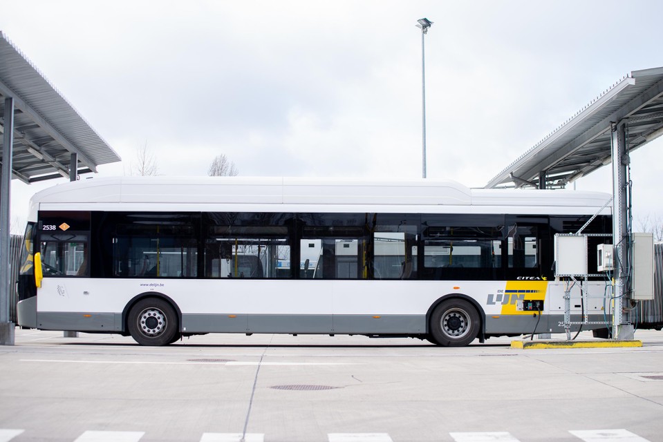 Taille lichten Opiaat De Lijn start elektrische inhaalbeweging in Genk: “Bus moet 250 km halen”  (Genk) | Het Belang van Limburg Mobile