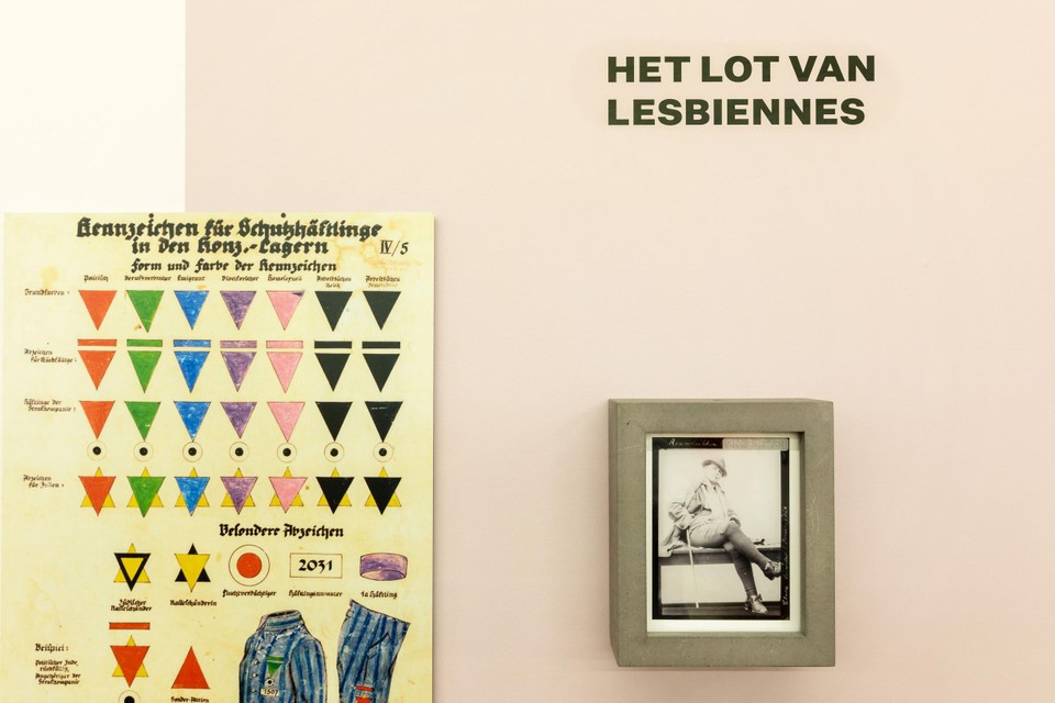 Een poster met symbolen: homoseksuelen moesten een roze driehoek dragen.