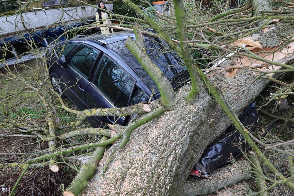 De boom viel dwars op een geparkeerde wagen achter het huis van de familie Gelders-van Rens.