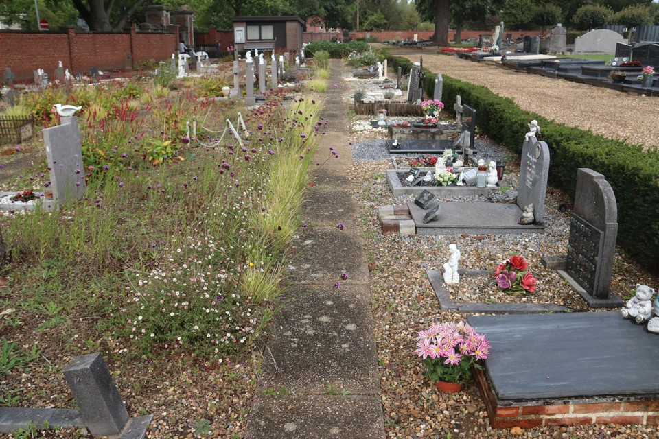 Ook de gewone begraafplaatsen wil de stad een opfrisbeurt geven, zoals de kinderbegraafplaats in het hoofdkerkhof in Webbekom. 