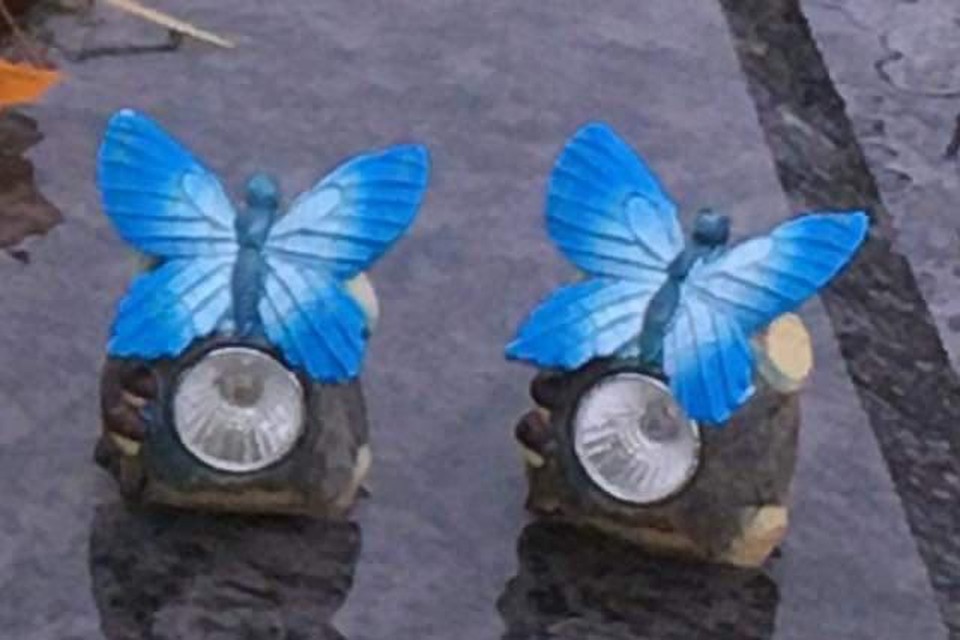 De blauwe vlinders hadden ook een lampje dat ’s avonds oplichtte.  