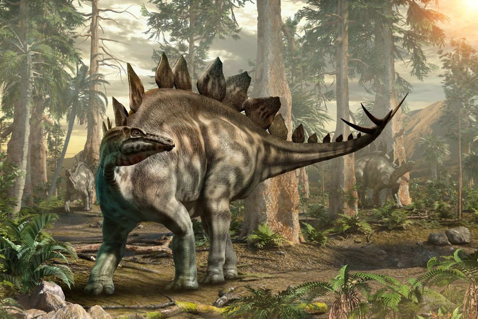 De onderzoekers hebben onder meer afdrukken gevonden die kunnen wijzen op een stegosaurus, of alleszins een voorouder of familie ervan. 