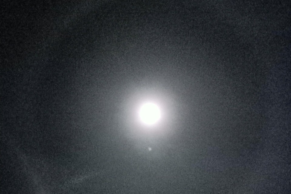 Wie maandagavond omhoog keek, zag hoe zich rond de maan een mooie halo aftekende. Het natuurfenomeen liet zich helaas moeilijk fotograferen. 